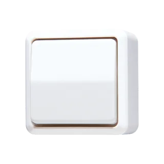 Switch 10 AX / 250 V ~