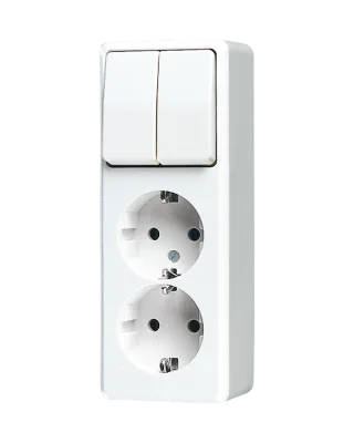 Combination 2-gang SCHUKO® socket / 2-gang switch (1-pole, 1-way) · screw terminals