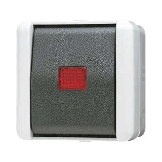Кнопка без фиксации 10AX 250V ~ с НО контактом, для накладного монтажа IP44