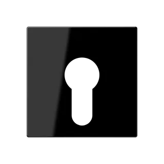 JUNG A 550, black, art. A525PLSW