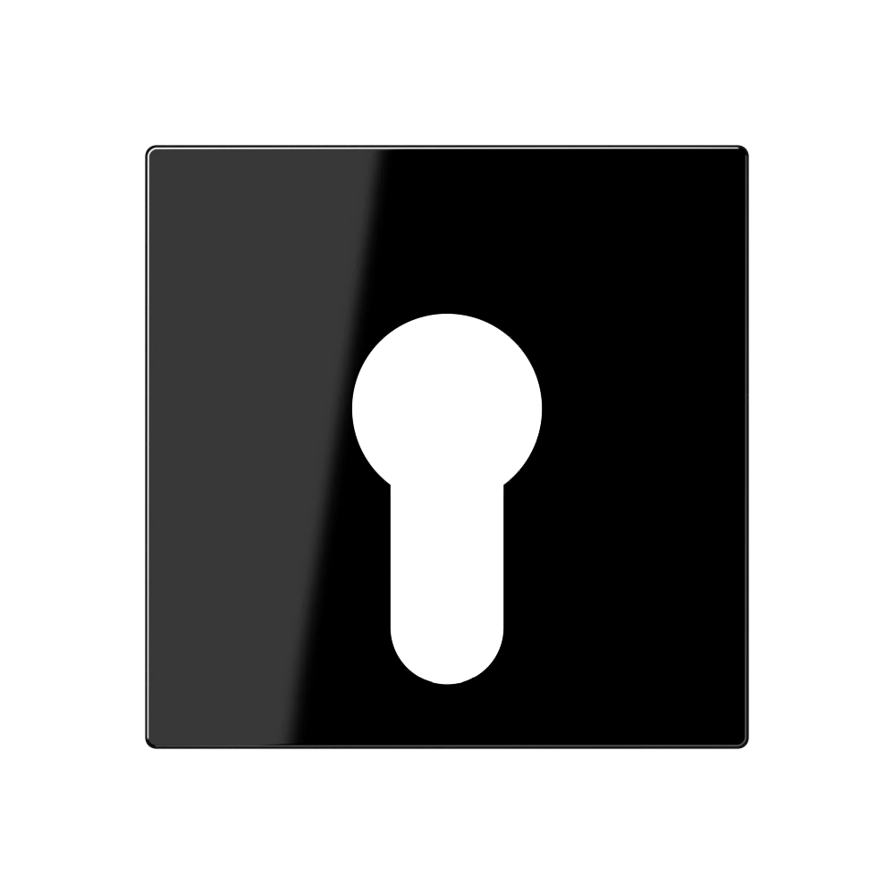 Centre plate for key switch without protection against dismounting — JUNG A 550, Black, art. A525PLSW