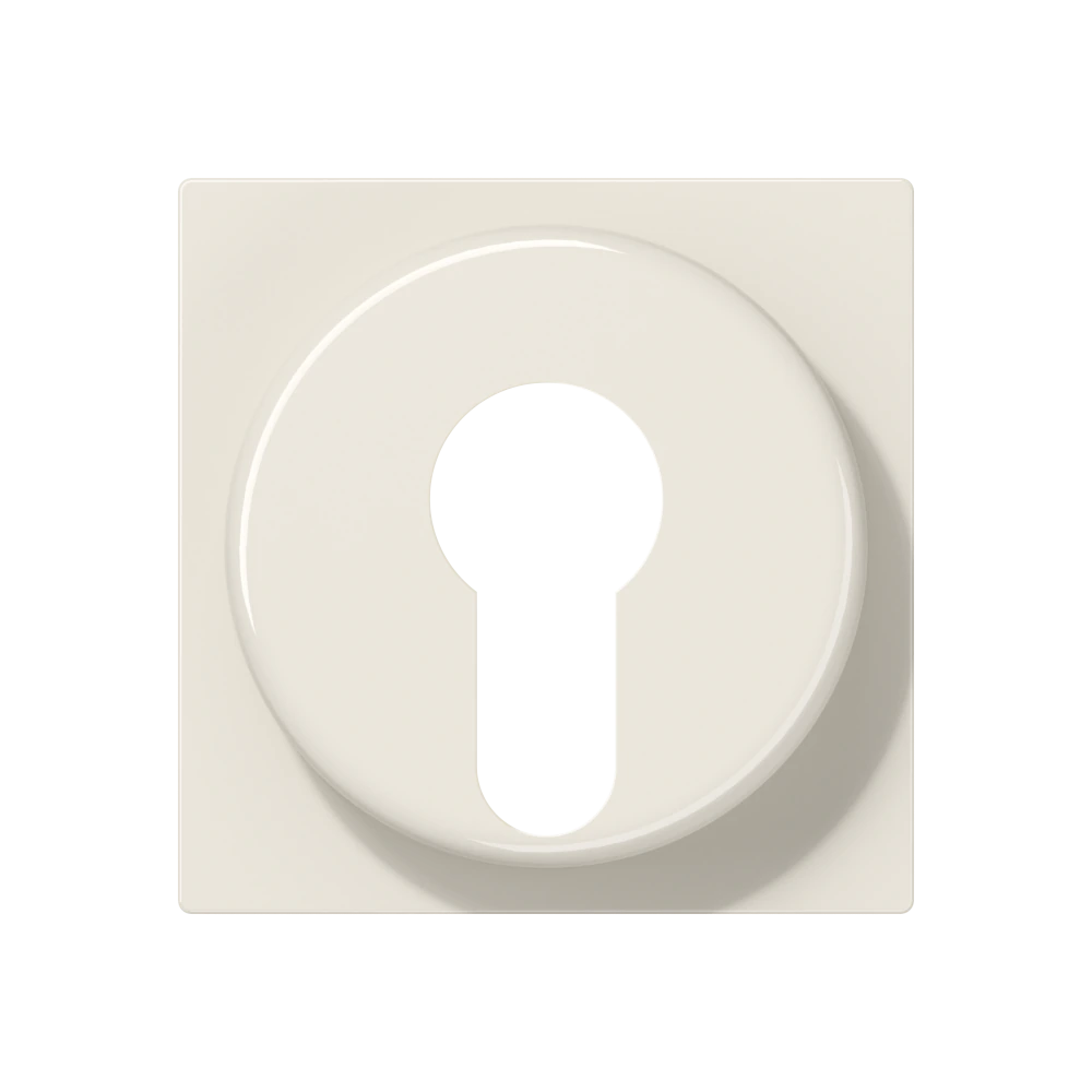 Centre plate for key switch with protection against dismounting — JUNG A 550, _, art. A528PL