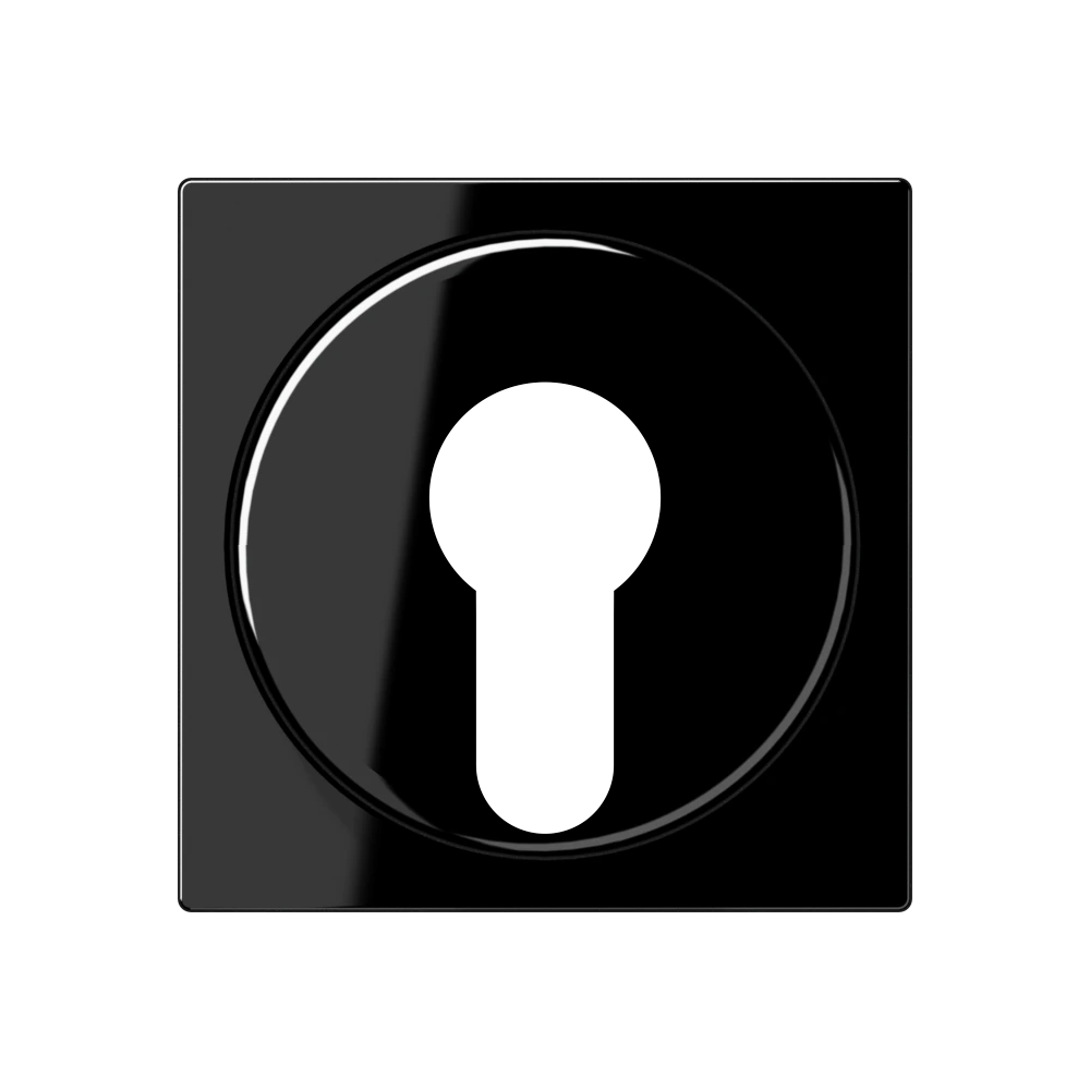 Centre plate for key switch with protection against dismounting — JUNG A 550, Black, art. A528PLSW