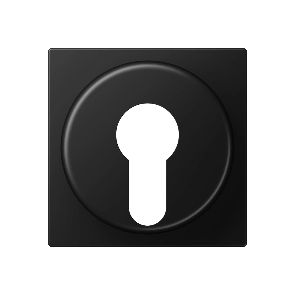Centre plate for key switch with protection against dismounting — JUNG A 550, Matt Black, art. A528PLSWM