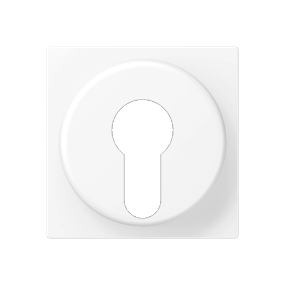 Centre plate for key switch with protection against dismounting — JUNG A 550, Matt White, art. A528PLWWM