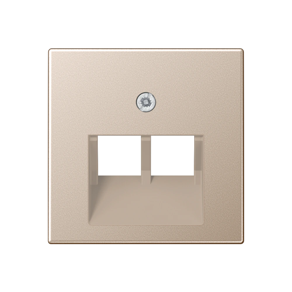Centre plate for 2-gang modular jack socket (8-pole) — JUNG A 550, Champagne, art. A569-2BFPLUACH