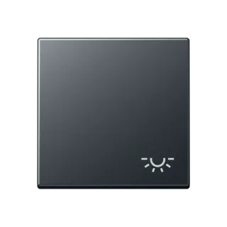 1-gang rocker with symbol "light"