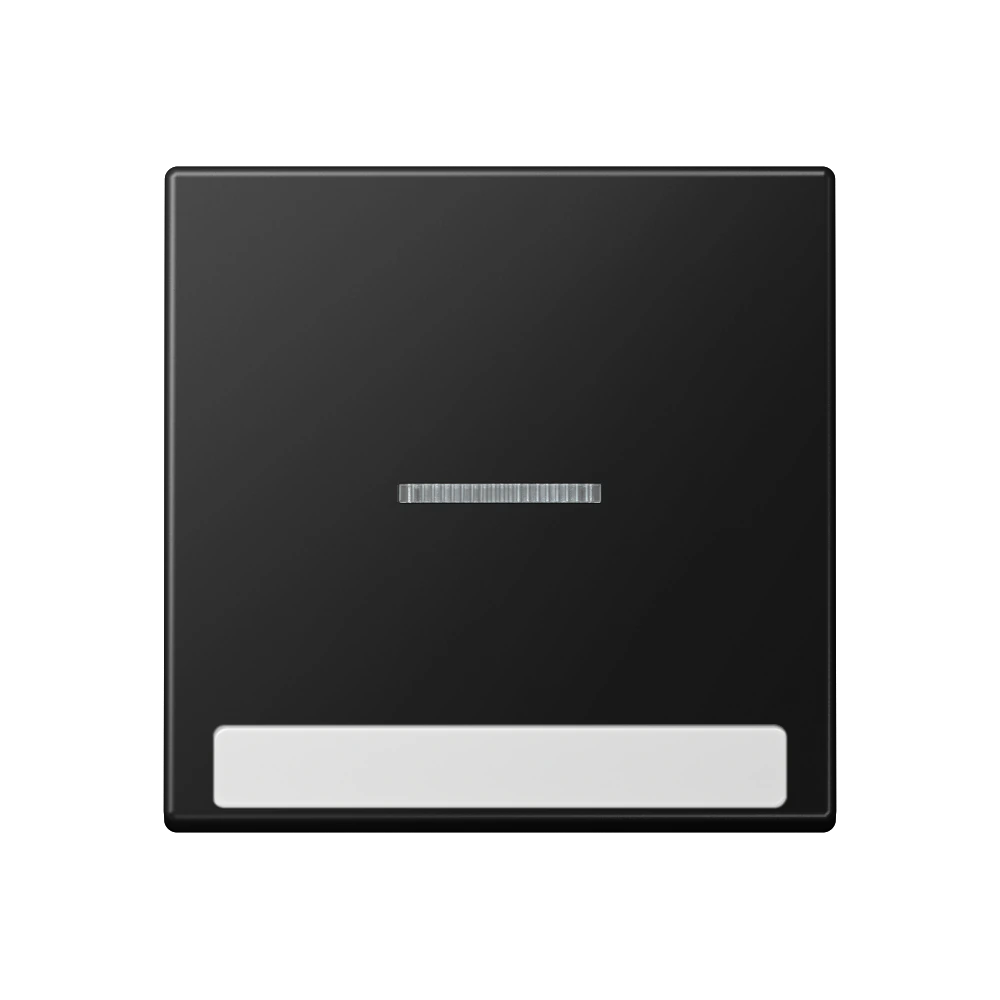 1-gang rocker for switch and push-button with lens and inscription field — JUNG A 550, Matt Black, art. A590BFNAKO5SWM
