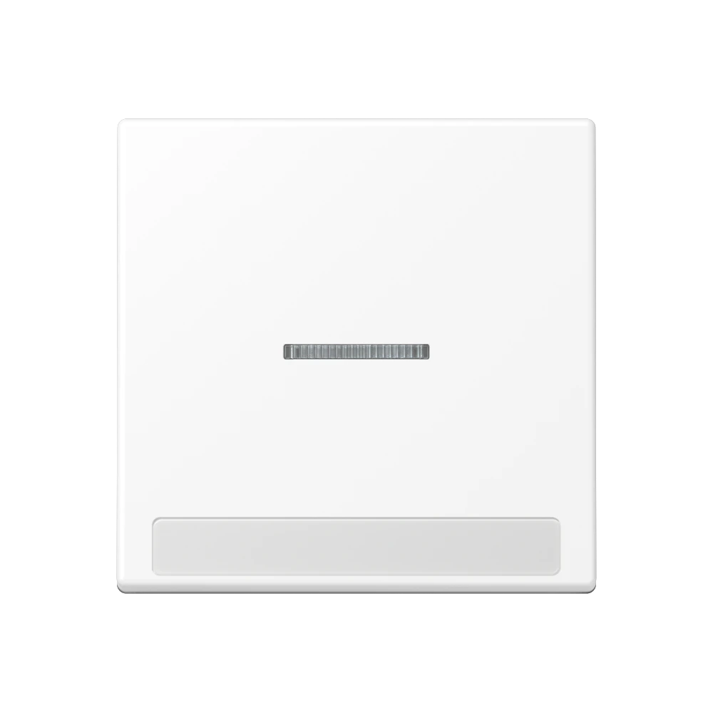1-gang rocker for switch and push-button with lens and inscription field — JUNG A 550, Matt White, art. A590BFNAKO5WWM