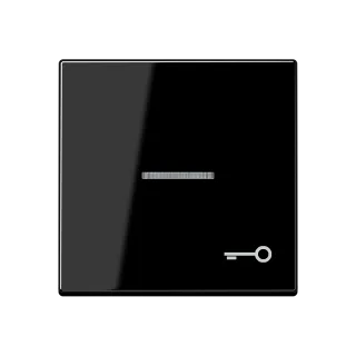 JUNG A 550, black, art. A590KO5TSW