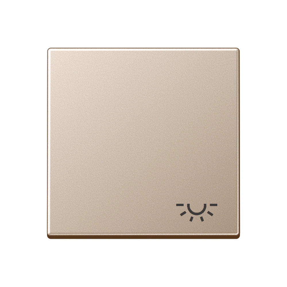 1-gang rocker with symbol "light" — JUNG A 550, Champagne, art. A590LCH