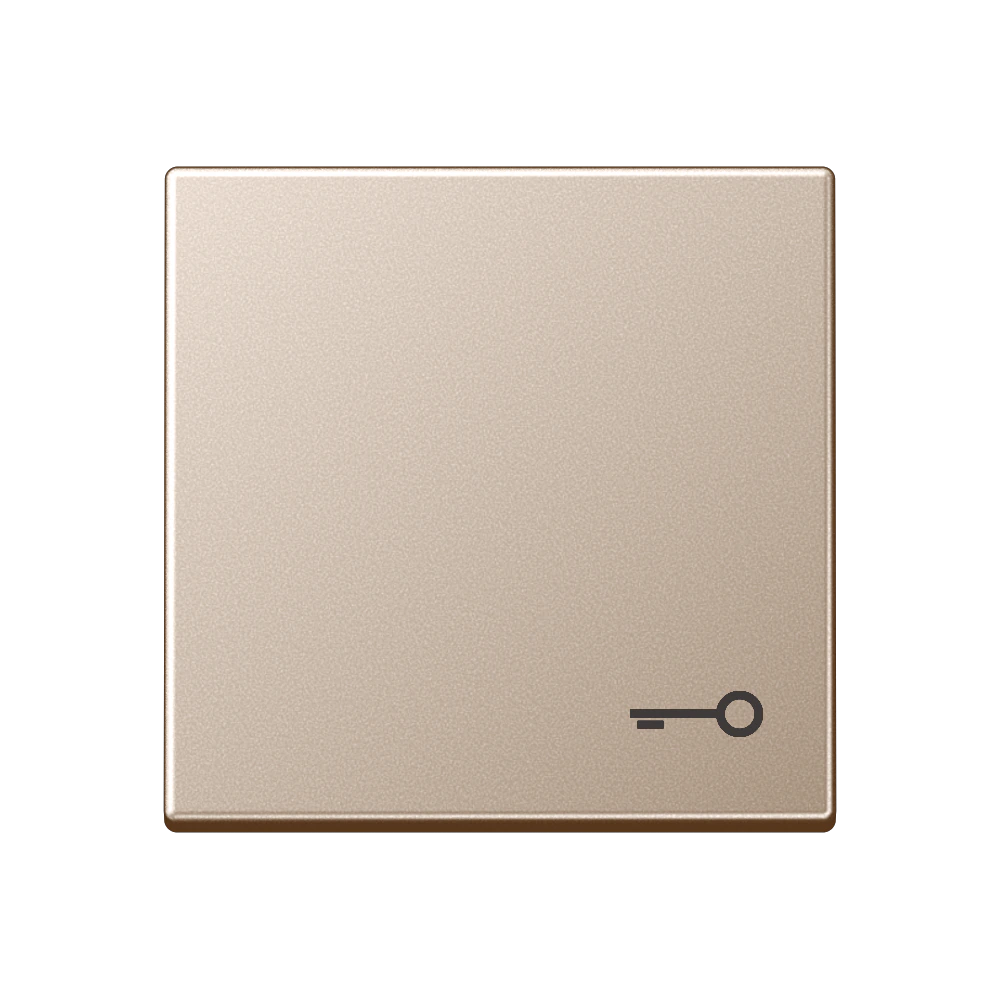 1-gang rocker with symbol "door" — JUNG A 550, Champagne, art. A590TCH