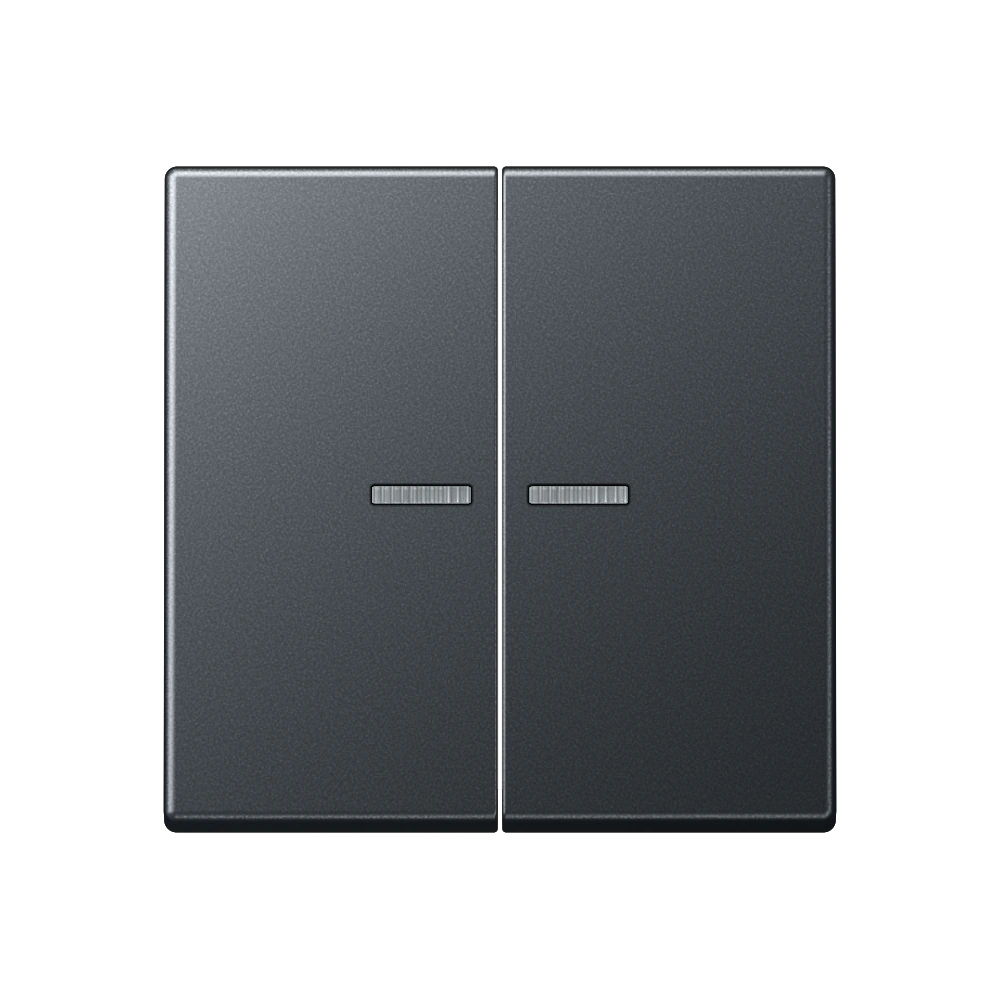 2-gang rocker for switch and push-button, with lens — JUNG A 550, Matt Anthracite, art. A595BFKO5ANM