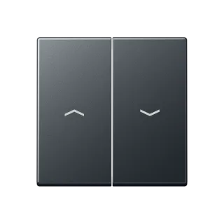 JUNG A 550, matt anthracite, art. A595BFPANM