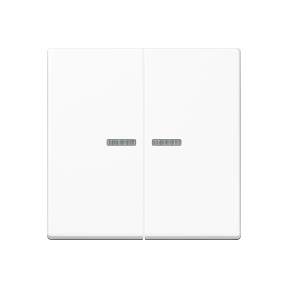 2-gang rocker for switch and push-button, with lens — JUNG A 550, White, art. A595KO5WW