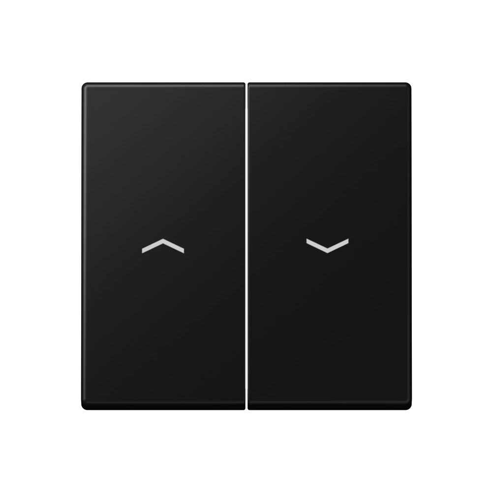 2-gang rocker for blind switch and blind push-button — JUNG A 550, Matt Black, art. A595PSWM