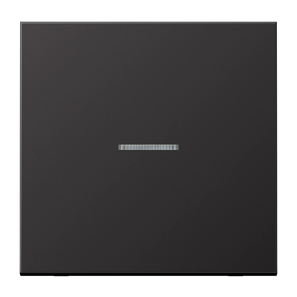 Клавиша с окошком — JUNG LS 990, Dark Al, арт. AL101KO5D