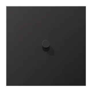 Тёмный