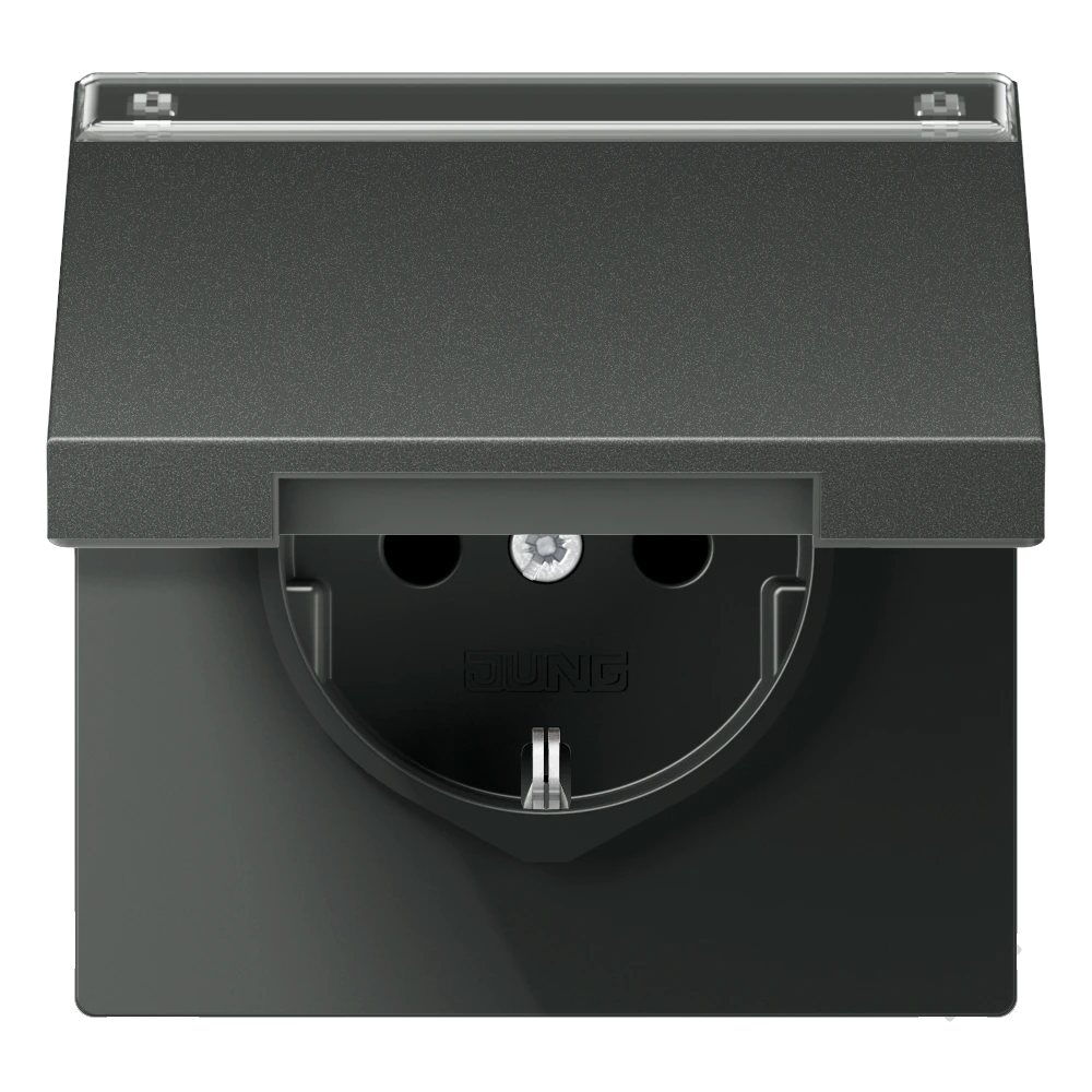 SCHUKO®-розетка с откидной крышкой и полем для записи — JUNG LS 990, Anthracite Al, арт. AL1520NAKLAN