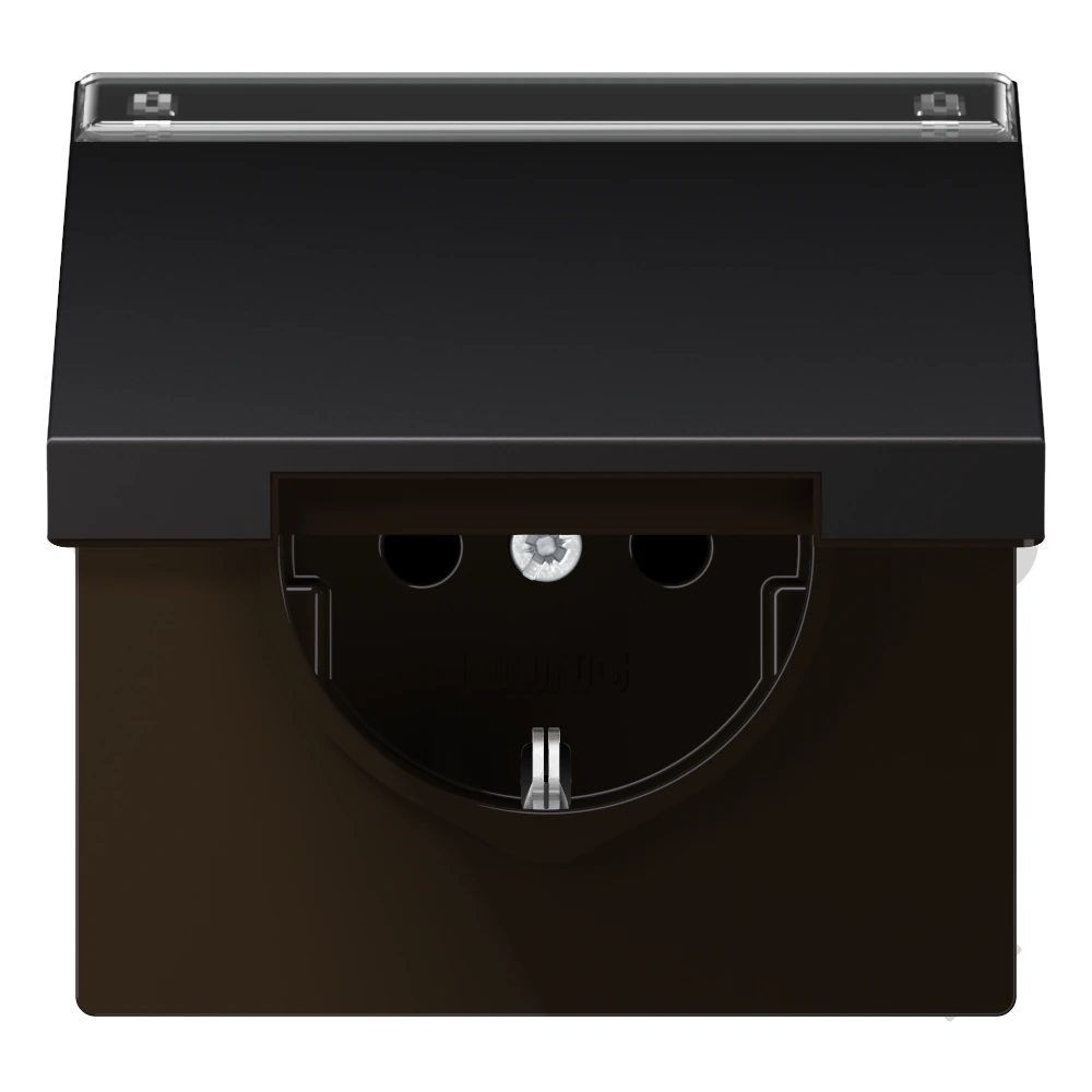 SCHUKO®-розетка с откидной крышкой и полем для записи — JUNG LS 990, Dark Al, арт. AL1520NAKLD