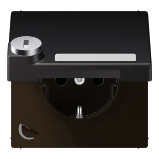 SCHUKO®-розетка 16 A / 250 B ~