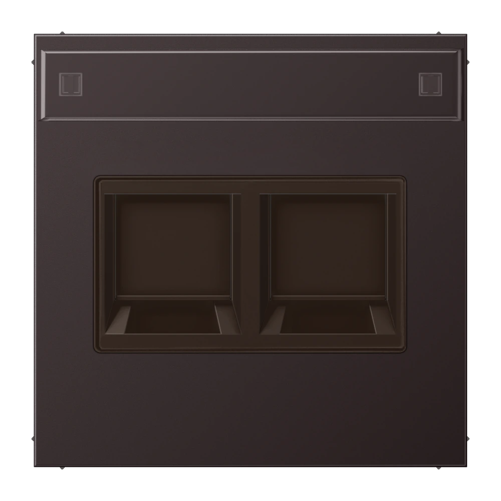 Centre plate for modular jack sockets — JUNG LS 990, Dark Al, art. AL1969-25NAWED