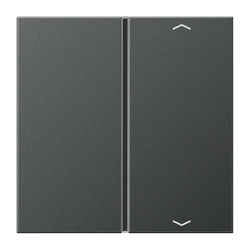 Накладка с символами, 1 группа — JUNG LS 990, Anthracite Al, арт. AL2401TSAPAN