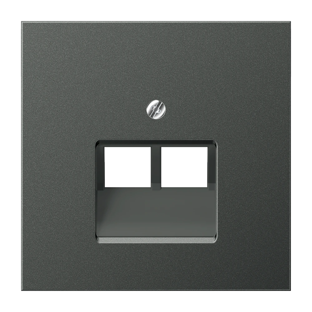 Крышка для 2-ных модульных гнёзд (2 x 8-пол.) — JUNG LS 990, Anthracite Al, арт. AL2969-2UAAN