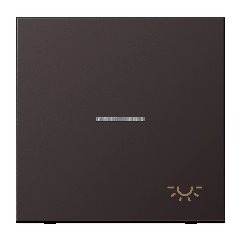 Клавиша с символом «освещение» и окошком — JUNG LS 990, Dark Al, арт. AL2990KO5LD