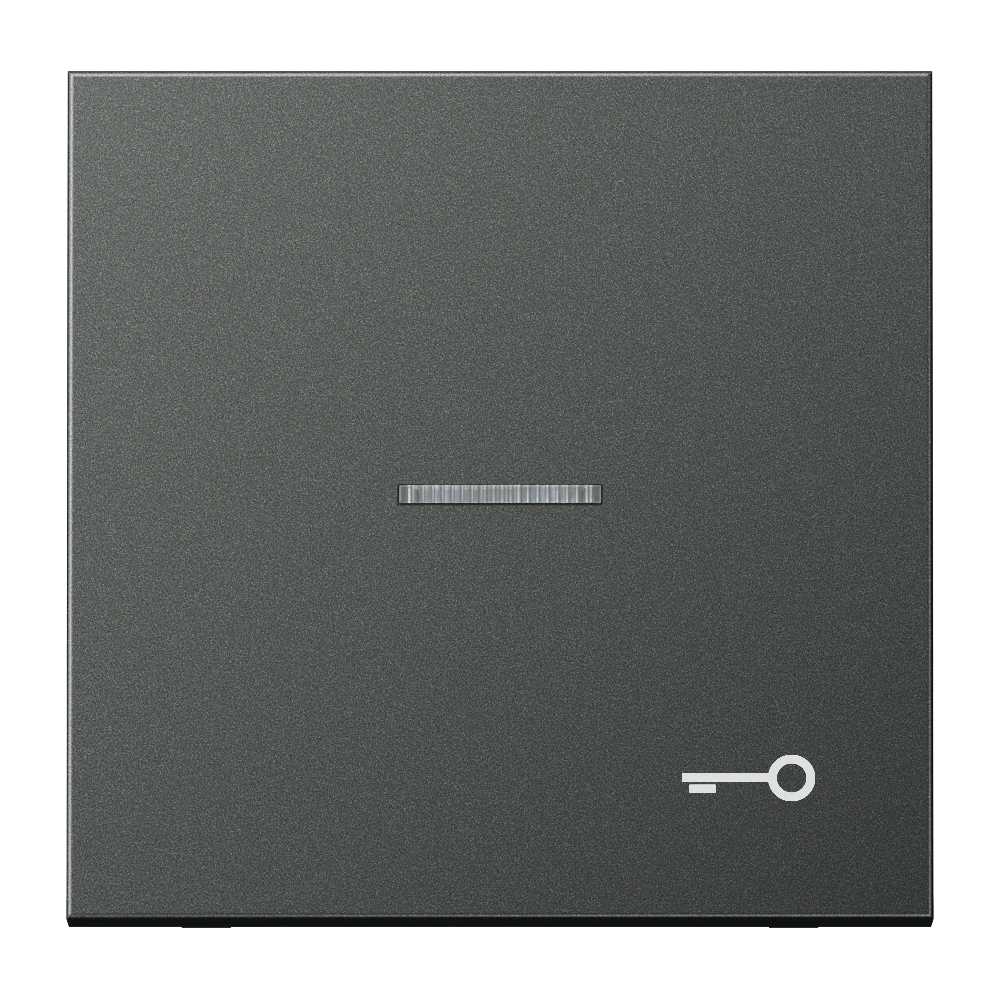 Клавиша с символом «ключ» и окошком — JUNG LS 990, Anthracite Al, арт. AL2990KO5TAN