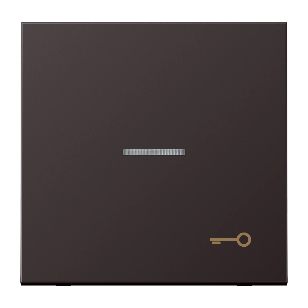 Клавиша с символом «ключ» и окошком — JUNG LS 990, Dark Al, арт. AL2990KO5TD