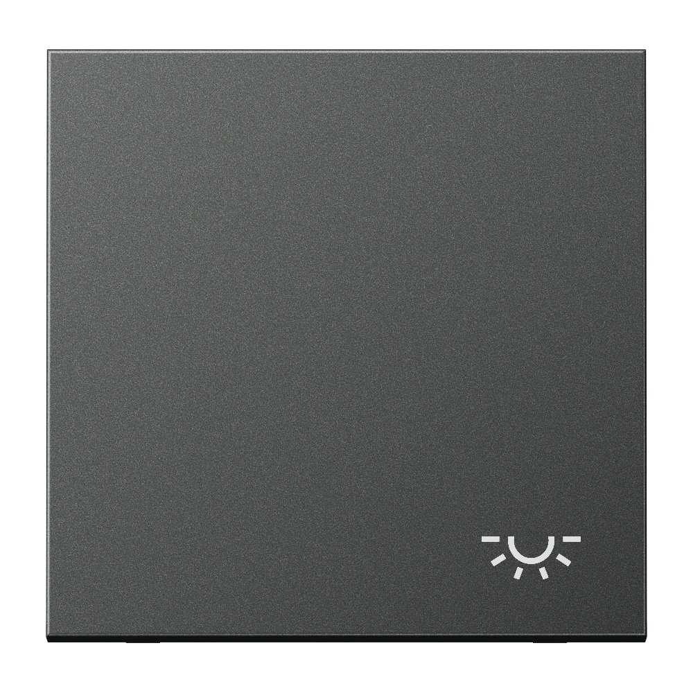Клавиша с символом «освещение» — JUNG LS 990, Anthracite Al, арт. AL2990LAN