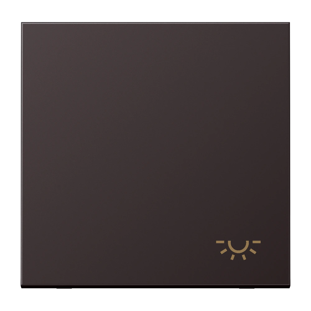 Клавиша с символом «освещение» — JUNG LS 990, Dark Al, арт. AL2990LD