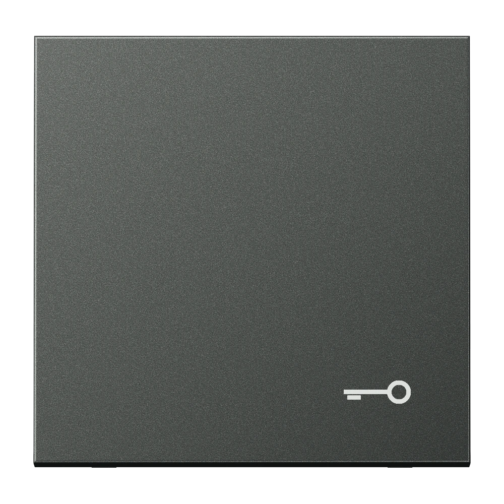 Клавиша с символом «ключ» — JUNG LS 990, Anthracite Al, арт. AL2990TAN