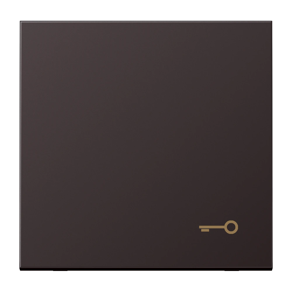Клавиша с символом «ключ» — JUNG LS 990, Dark Al, арт. AL2990TD