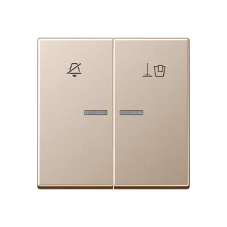 JUNG A 550, champagne, art. ARUKO5MCH