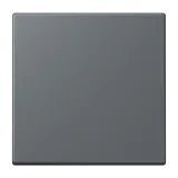 Gris Foncé 31