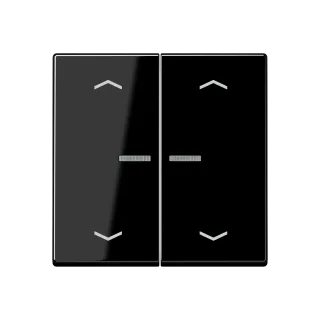 JUNG HOME push-button 2-gang with arrow symbols