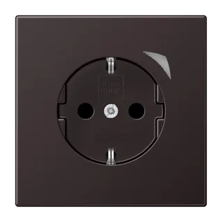 JUNG HOME SCHUKO® socket Energy