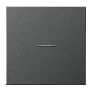 JUNG HOME push-button 1-gang