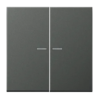 JUNG HOME push-button 2-gang