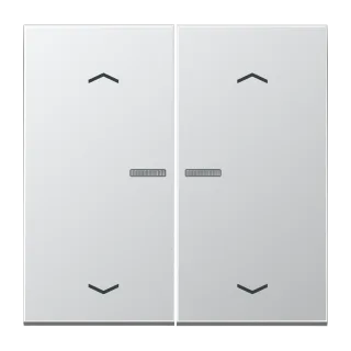 JUNG HOME push-button 2-gang with arrow symbols
