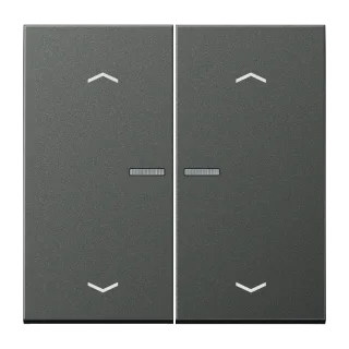 JUNG HOME push-button 2-gang with arrow symbols