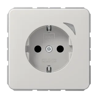 JUNG HOME SCHUKO® розетка Energy