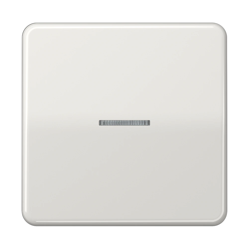 JUNG HOME кнопка, 1 группа — JUNG Bluetooth, Светло-серый, арт. BTCD17101LG