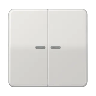JUNG HOME push-button 2-gang