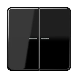 JUNG HOME push-button 2-gang