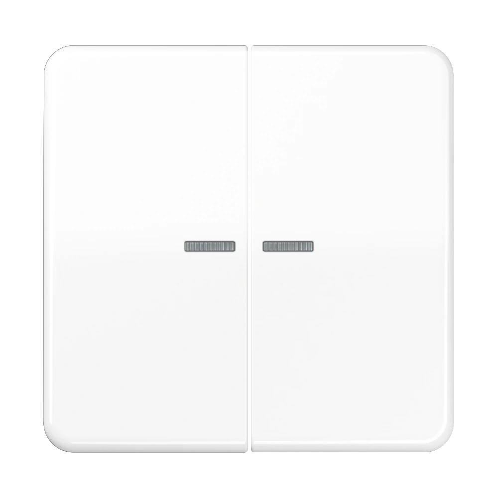 JUNG HOME push-button 2-gang — JUNG Bluetooth, Alpine White, art. BTCD17102WW