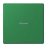 Vert Foncé