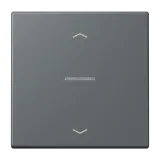 Gris Foncé 31